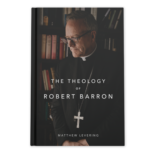 The Theology of Robert Barron