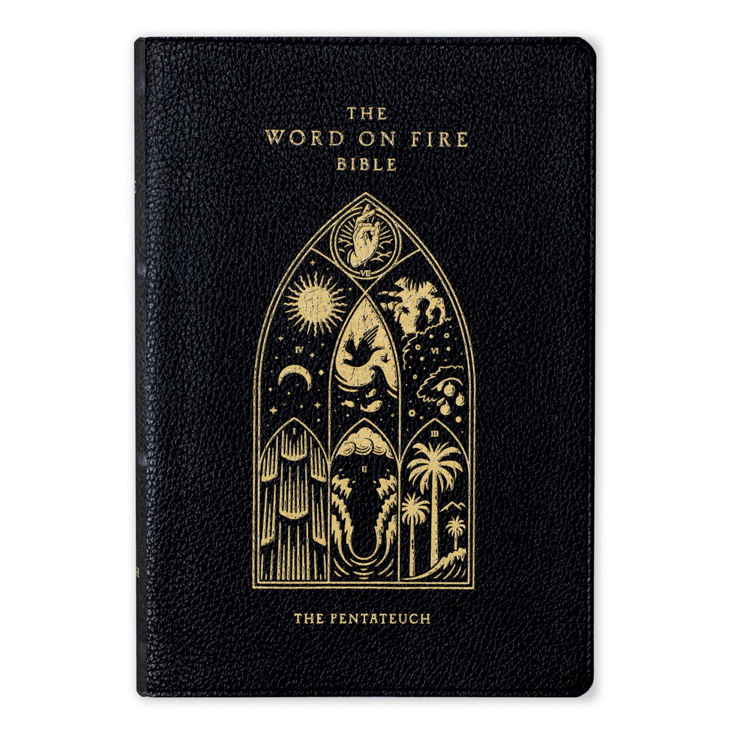 The Word on Fire Bible (Volume III): The Pentateuch