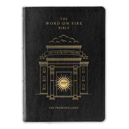 The Word on Fire Bible (Volume IV): The Promised Land