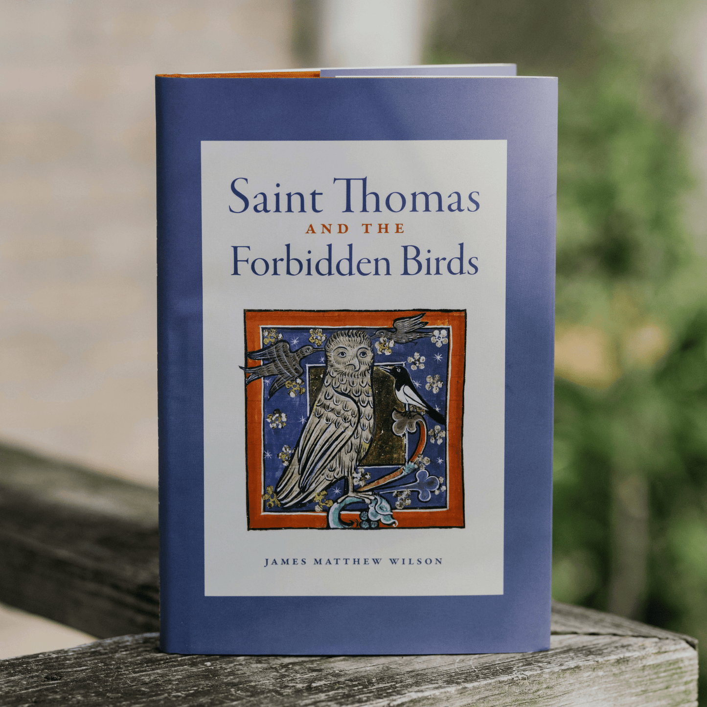 Saint Thomas and the Forbidden Birds